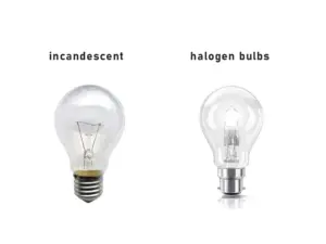 incandescent and halogen bulbs