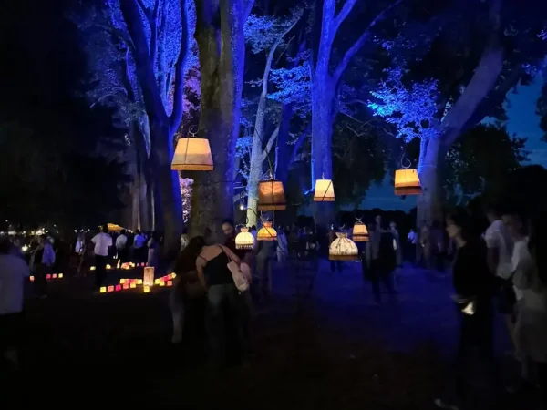 outdoor landscape lighting