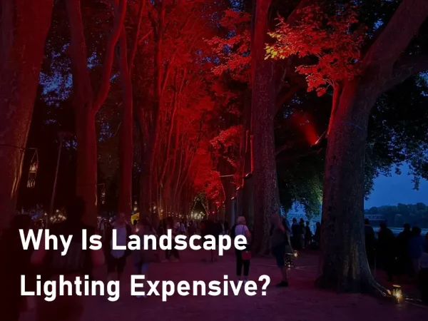 why is landscape lighting expensive